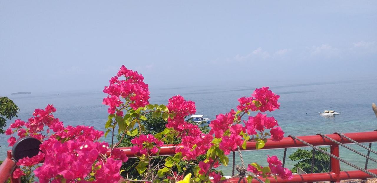 Strandhaus Condotel Моалбоал Екстер'єр фото